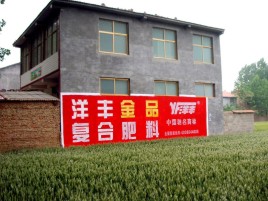 祥云如何让墙体广告展现最大化效果